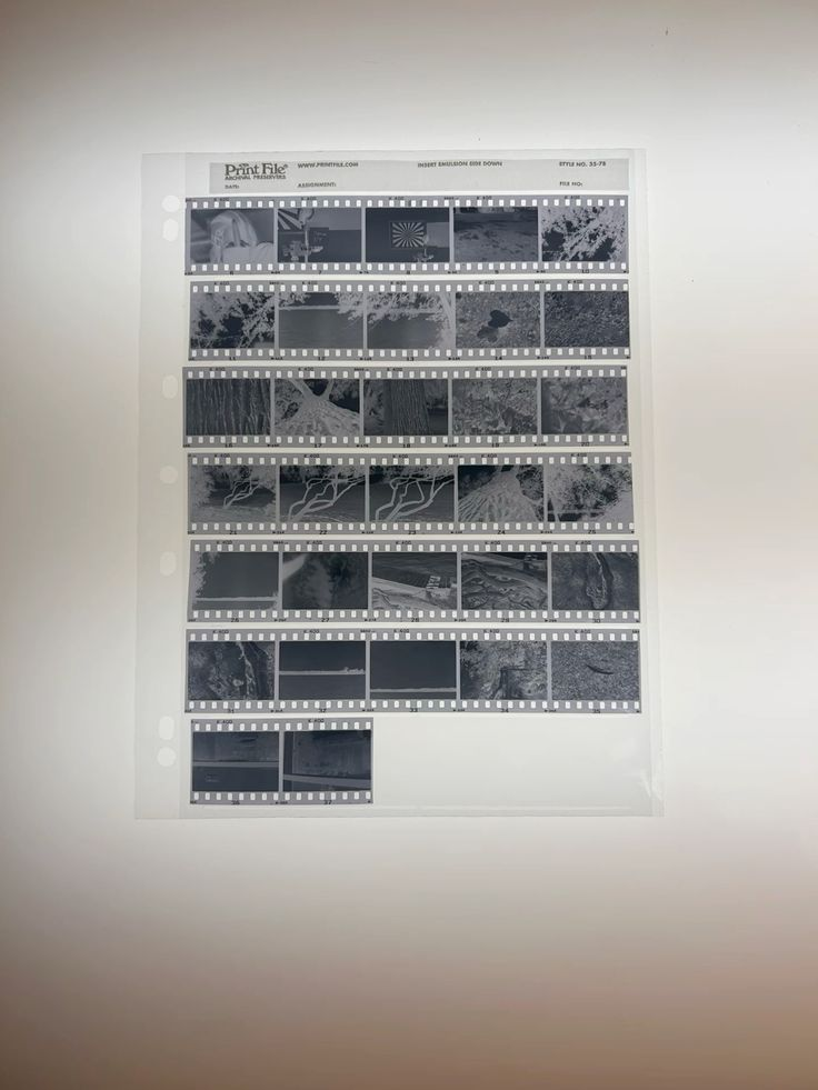 Image of a film strip. Photo: colorme.vn